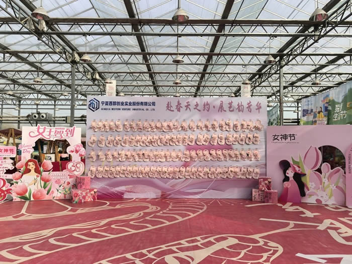 ΢ÐÅͼƬ_20250310091213.jpg ΢ÐÅͼƬ_20250310091213.jpg