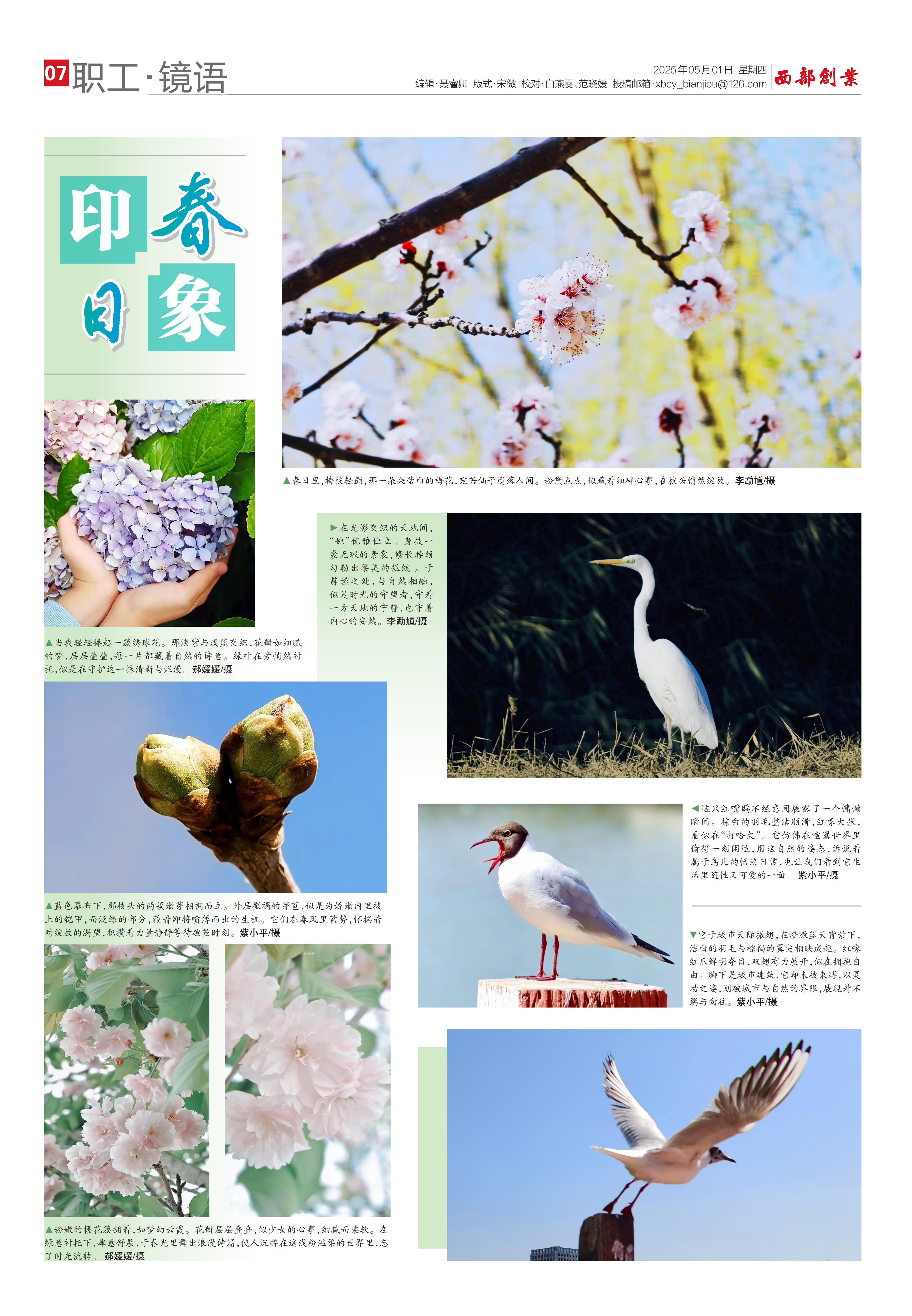 ΢ÐÅͼƬ_20250507155224.jpg ΢ÐÅͼƬ_20250507155224.jpg