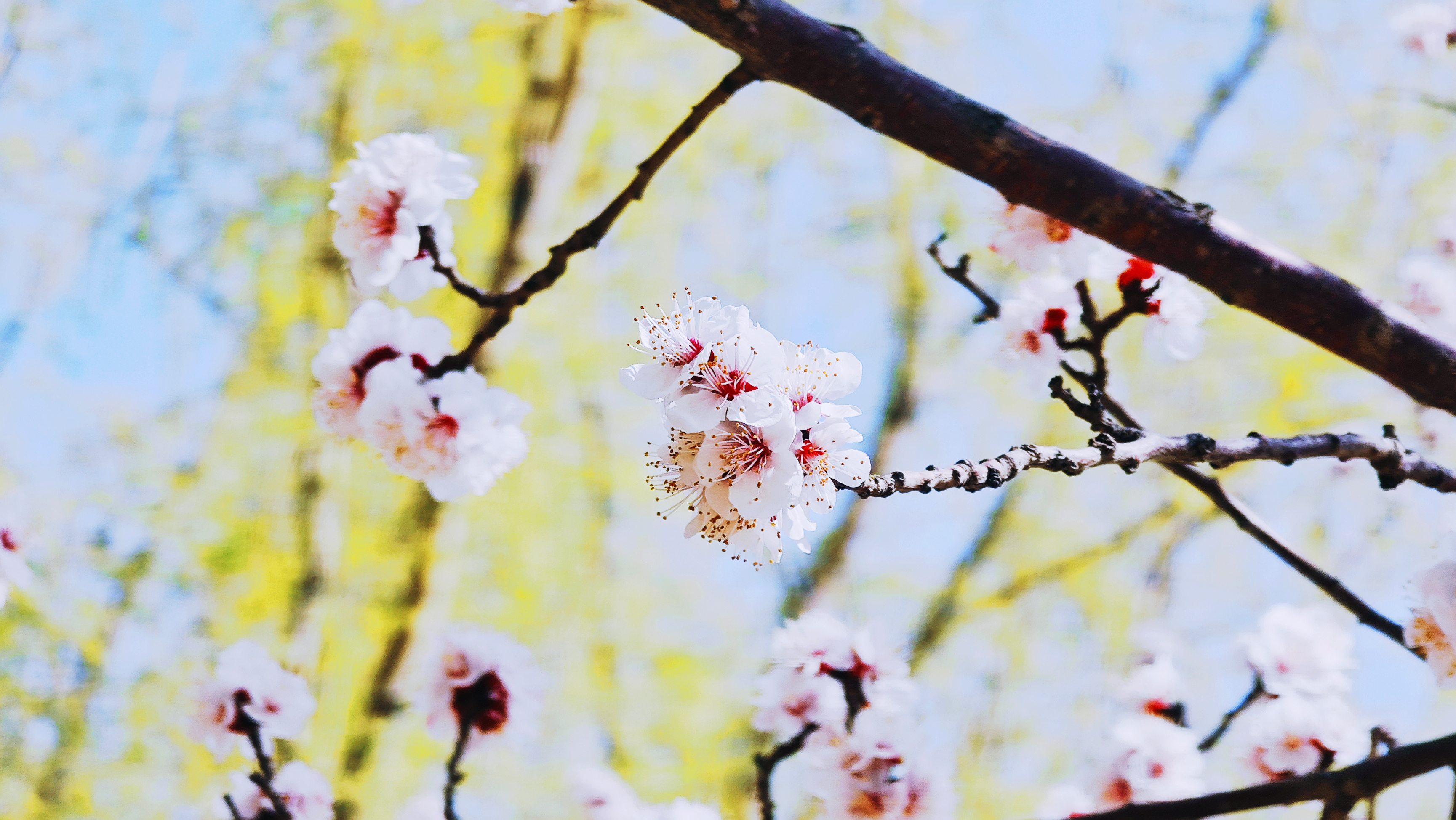 ÀîÛÂØ¸-2.jpg ÀîÛÂØ¸-2.jpg