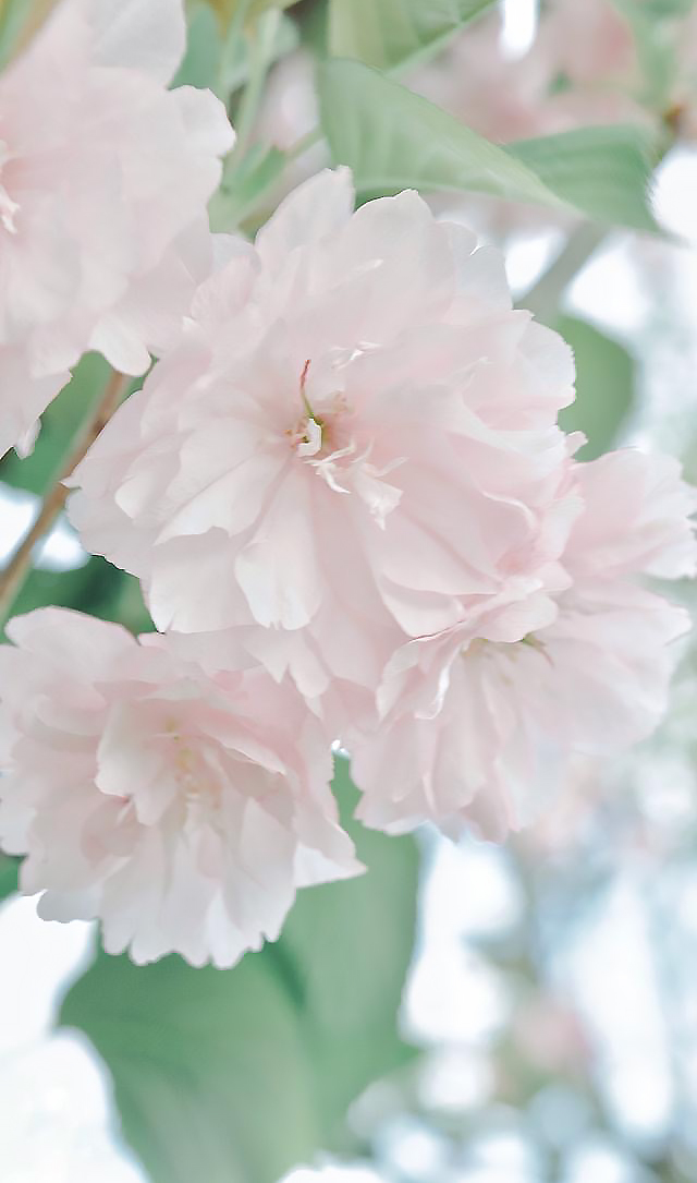 ºÂæÂæÂ-3.jpg ºÂæÂæÂ-3.jpg